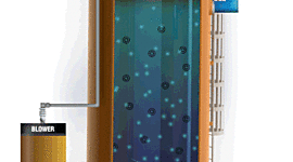 Timeline: Desarrollo de los biorractores