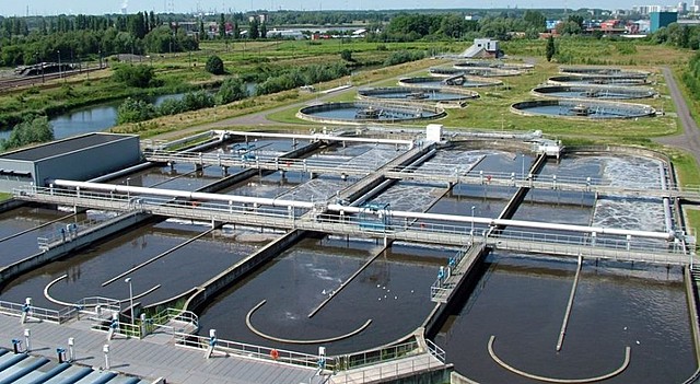 Reactor de biopelicula