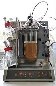 Fermentación a gran escalan de levaduras