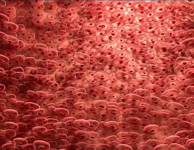 Biorreactor para cultivo de células