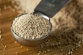 Uso de biorreactores para la producción de levadura