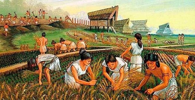 Neolítico (8.000 a.C.- 6.000 a.C.)