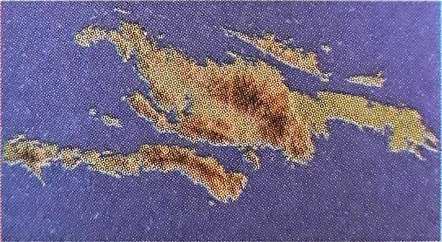 Era Cenozoica/Terciaria