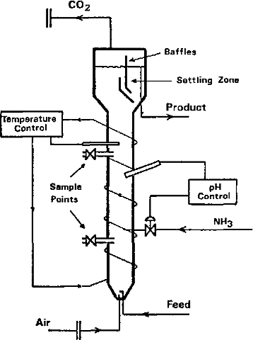 Se crea patente para "fermentador de torre", utilizado para hacer bebidas alcohólicas.