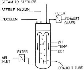 Biorreactor de puente aéreo, variación de BCR, es utilizado por su eficiente recirculación y mezcla del fluido, reduciendo la coalescencia de burbujas.