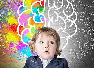 GROSSMAN (1973-1977)