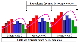 Navarro Valdivielso F. “macrociclo integrado”