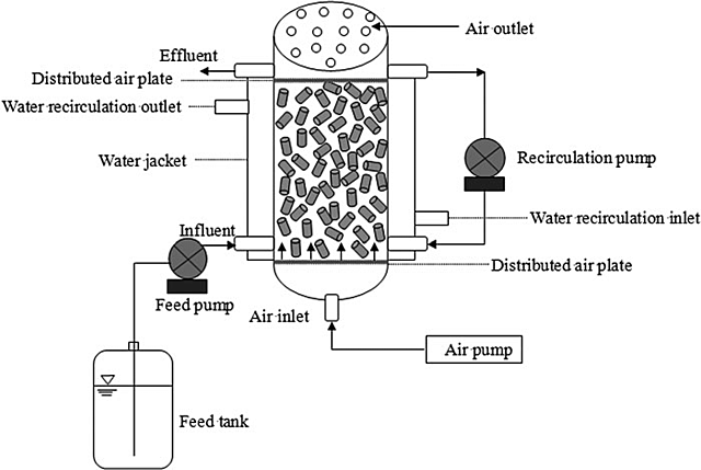 Biorreactor de lecho compacto, es un reactor que utiliza el flujo horizontal o radial del medio de cultivo o crecimiento a través de un lecho lleno de microportadores con células o enzimas adheridas.