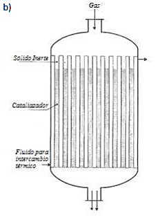 Primera Unidad de lecho fijo