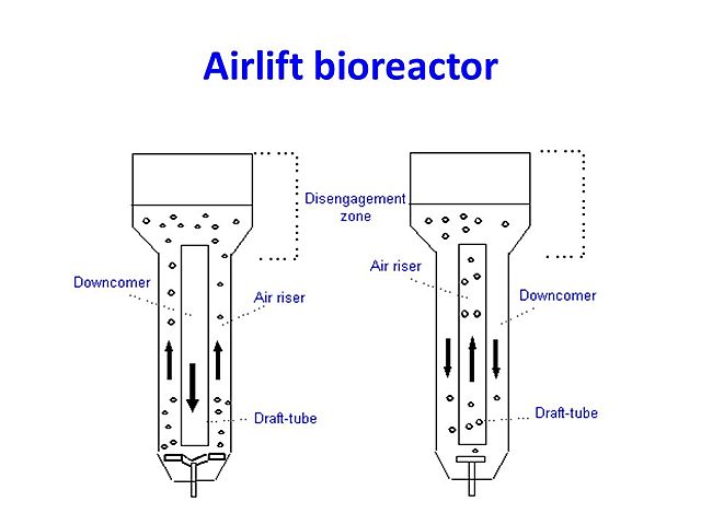 Reactor Airlift continuo