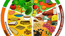 Timeline: Desarrollo en alimentación y nutrición
