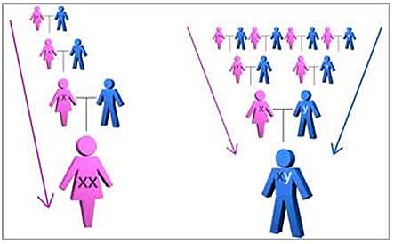 sociedad matrilineal