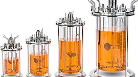 Timeline: Línea del tiempo del desarrollo histórico de los biorreactores