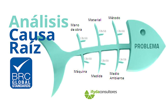 Analisis causa Raiz