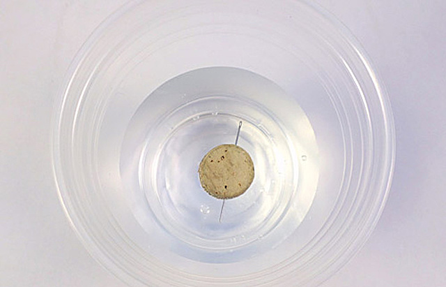 Funcionamiento de la brújula y como hacer una casera