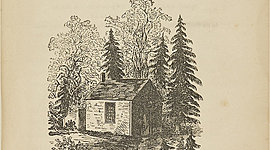 Timeline: WALDEN, Sonidos (Henry David Thoreau)