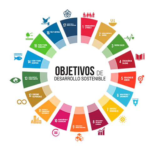 Conferencia de las Naciones Unidas sobre Desarrollo  Sustentable