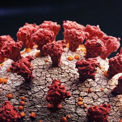 Timeline: Cronología de los eventos de COVID-19 en Guatemala