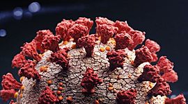 Timeline: Cronología de los eventos de COVID-19 en Guatemala