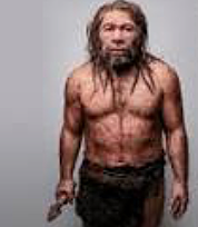 Homo neanderthalis