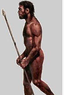 Hombre de Cromañón (Homo Sapiens Sapiens)