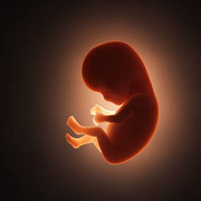 Timeline: ETAPAS DE LA VIDA