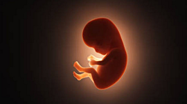 Timeline: ETAPAS DE LA VIDA