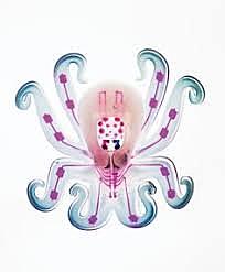 Robot pieuvre : Octobot