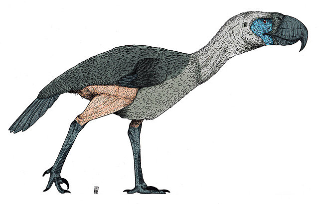 APRICIÓN DE GRANDES AVES