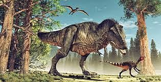 REINO DE DINOSAURIOS