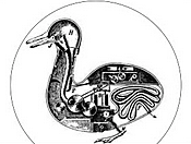 Jacques de Vaucausan