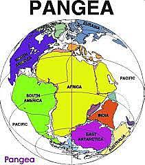 FORMACIÓN DEL CONTINENTE PANGEA