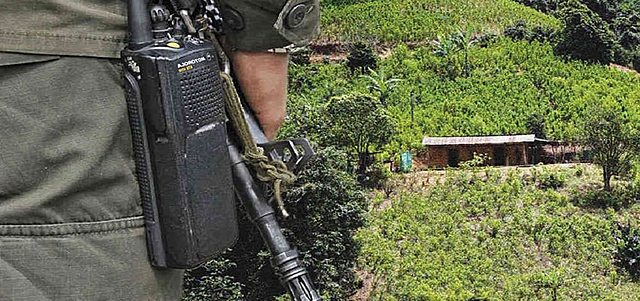 Narcotráfico y violencia generalizada