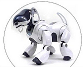 Aibo