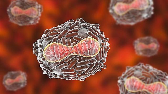 Verola (Variola Virus)