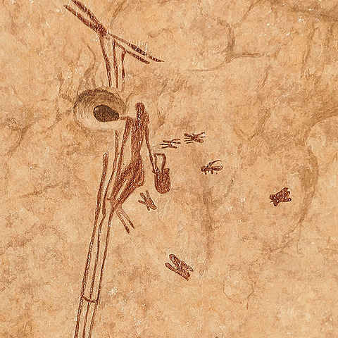 Arte rupestre levantino