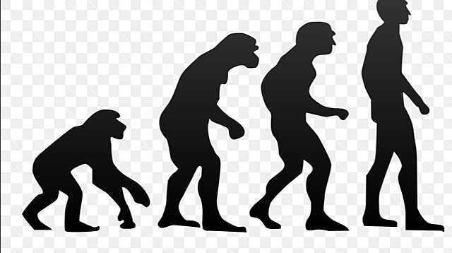 La comparsa dell’Homo Sapients