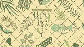 Timeline: Historia de los conceptos de causa y enfermedad: paralelismo entre la Medicina y la Fitopatología.