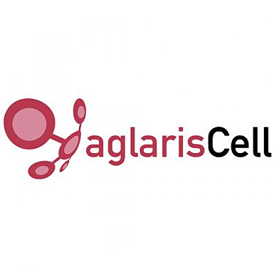 Biorreactor de células madre