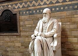 Darwin s'instal·la a Londres