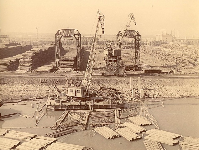 Строительство лесоперевалочного комбината