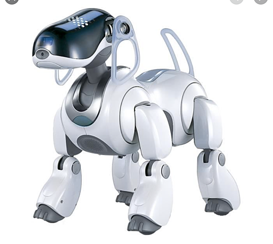 Aibo
