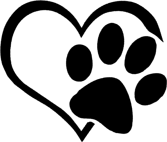 NUEVO MIEMBRO DE LA FAMILIA (PERSONAL)