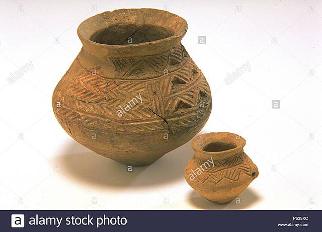 Cultura de los campos de urnas.