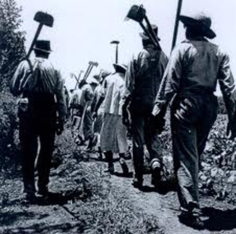 The Birth of the Slave Codes