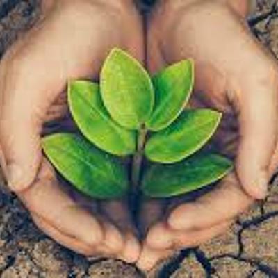 Timeline: Recorridos en salud, ambiente, EpS y EA