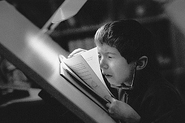 Departamento de Psicopedagogía e Higiene en México se configuró con varias subsecciones,