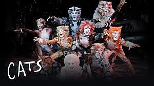 Cats the musical premiere,