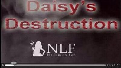Daisy's Destruction