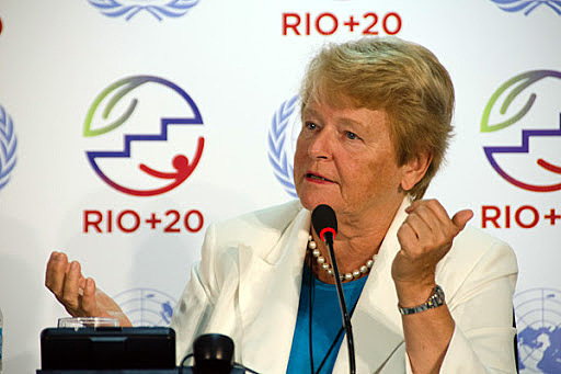 Nuestro Futuro Común